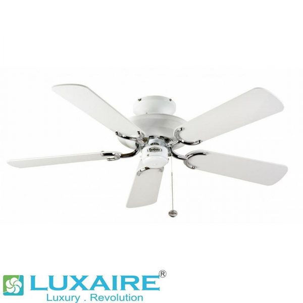 LUX 1163 Designer Fan